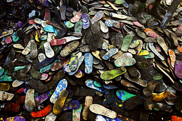 The soles of discarded sandals sit in a pile at the Olusosun landfill site. The Olusosun dump is Nigeria's largest trash heap comprising over 100 acres of garbage and is believed to be the largest in...
