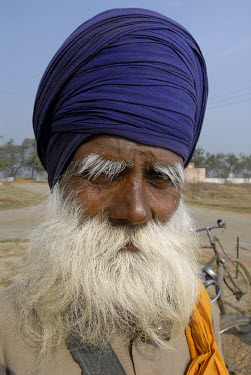 A warrior of the Nihang sect, an armed Sikh order, sports the 'Dougal' beard, an extreme example of the classic 'Polo Neck'. The growth of facial hair is integral to an Indian man's sense of style and...