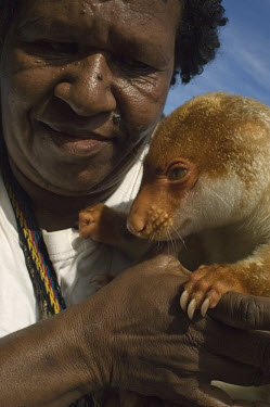 A women holds her pet adult cuscus or tree kangaroo, an endangered species native to PNG.