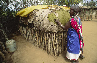 A Masai woman waterproofing the roof of her house with cow dung.