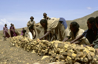 Community terracing of land to prevent soil erosion on a food-for-work programme.