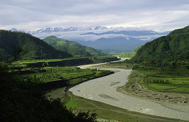 Farmland in Seti Valley with the Annapurna mountain range in the background.