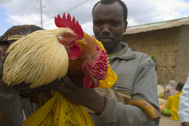 A man selling chickens in the marketplace. The town has seen a boom in trade following the implementation of new water and business development schemes.