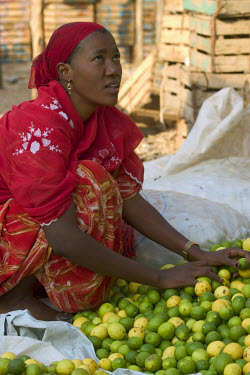 A woman sorting limes for sale at a wholesale market.