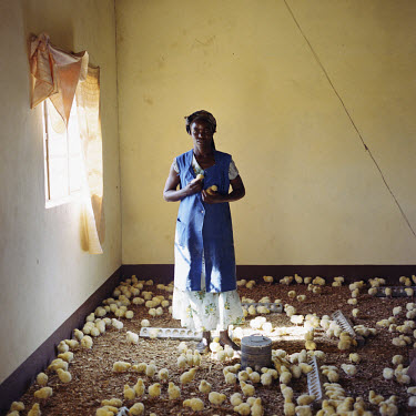 Casilda, aged 28, is pictured taking care of young chicks. She works for an NGO that supports a school for orphaned children.