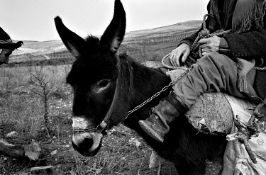 A man who lost his foot in a landmine accident rides his donkey through a Kurdish village on the Turkish-Syrian border. Eastern Turkey is blighted by landmines. During the 1950s, the cause was illegal...