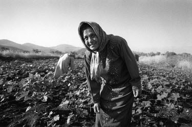 Sikna (foreground) and her sister pick okra from their field cleared of cluster bombs by MAG (Mines Advisory Group) teams. "When I came back after the war I was very afraid" Sikna said, "I had lost my...