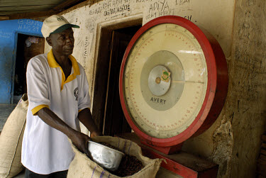 Elias Mohammed, the Kuapa Kokoo co-operative's elected 'recorder', weighing cocoa beans. Kuapa Kokoo is a cocoa farmers' co-operative with 45,000 members spread across the forests of Kumasi. The farme...