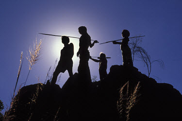 Aborigines hunting with spears, in Arnhem Land.