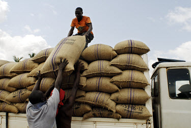 Loading bags of cocoa beans, which weigh 62.5 kg each, onto the Kuapa Kokoo lorry. Kuapa Kokoo is a cocoa farmers' co-operative with 45,000 members spread across the forests of Kumasi. The farmers are...