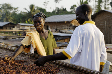 Aminatu Kasim and Elias Mohammed, Kuapa Kokoo's elected 'recorder', discuss her cocoa crop. Kuapa Kokoo is a cocoa farmers' co-operative with 45,000 members spread across the forests of Kumasi. The fa...