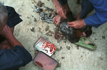 A man removes the reproductive organs from chickens for customers during market day in Yongle.
