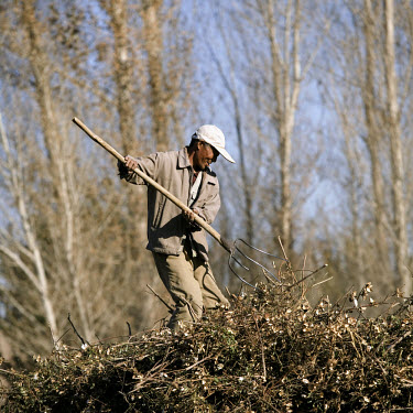 Farmers work on cotton fields in Mingshan village in Western Gansu Province.