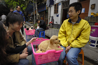Young urban couple looking at puppies for sale on a street corner close to where dogs used to be sold for food in Qingping Market. Pets are becoming more and more popular amongst China's middle class.