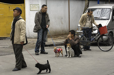 Each with a single dog to sell, vendors on a street corner close to where dogs used to be sold for food in Qingping Market. Pets are becoming more and more popular amongst China's middle class.