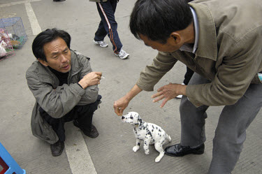 Man with a Dalmation puppy for sale as a pet on a street corner close to where dogs used to be sold for food in Qingping Market. Pets are becoming more and more popular amongst China's middle class.