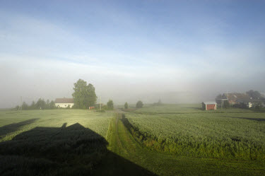 A landscape covered in early morning fog.