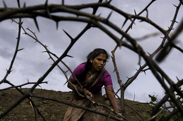 Kusum cuts thorny trees to be used as firewood. She does this everyday so that she can use it as firewood to cook food. Kusum is a widow living with HIV. One of her children is also HIV positive, one...