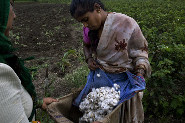 Kusum working in a cotton field as a day labourer where she earns 25 rupees (0.61 USD) a day. She gets up at 5am to begin her household chores, after which she works as a day labourer from 8am to 2pm....