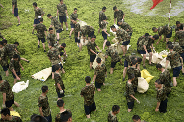 People's Liberation Army soldiers work to remove blue green algae from a beach in Qingdao. There had been fears that the thick algae, that invaded the sea off Qingdao, would affect the Olympic Games s...