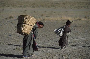 Young girls carrying dried yak dung "patties" which are burned to provide heat for cooking, near the town of Barayagan on the Tibetan Plateau.
