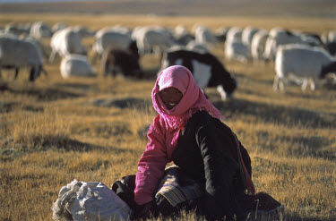 A female shepherd with her flock of sheep and goats on the outskirts of the town of Barayagan on the Tibetan Plateau.