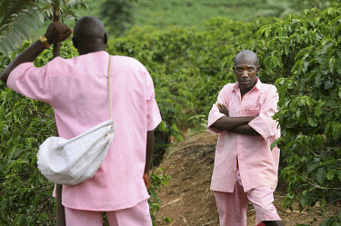 Prisoners working the land, most of whom are guilty of participating in the 1994 genocide.