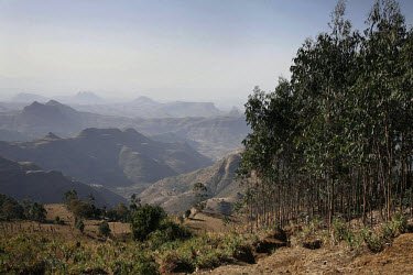 The hills of the Megech area where deforestation and soil erosion are a continuing problem. IFAD (International Fund for Agricultural Development) are currently involved in the Lake Tana Watershed pro...
