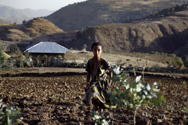 A young girl stands in her family field in the hills of the Megech area, where deforestation and soil erosion are a conitinuing problem. IFAD (International Fund for Agricultural Development) are curr...