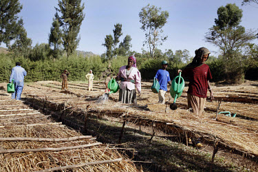 The Angereb nursery in the Megech sub-basin, which is run by local government and is part of the Lake Tana Watershed project. IFAD (International Fund for Agricultural Development) are currently invol...