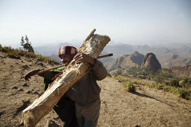 A man with firewood collected from the hills of the Megech area, where deforestation and soil erosion are a conitinuing problem. IFAD (International Fund for Agricultural Development) are currently in...