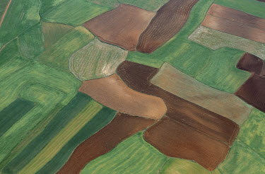 The painterly, pastoral landscape of the fields around Zaragoza. The demands of the terrain and the choice of crops (predominantly grains such as wheat, barley and rye) create great swathes of green a...