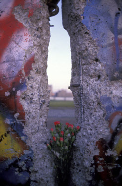 Roses rest in a gap of the Berlin Wall in the days after its fall.