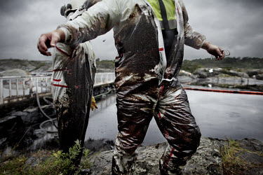 Workers cleaning some of the worst affected areas around Langesund following an oil spill. The 167 metre long cargo ship Full City ran aground at Saastein, just south of the town of Langesund, carryin...