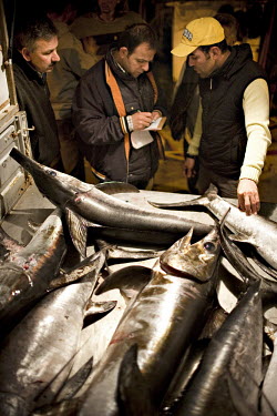 Swordfish caught by local fishermen are sorted and taken to be sold. The numbers here are in stark contrast to the huge quantities brought in by the trawlers and seine net boats, who kill large number...