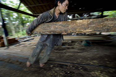 Bejang, a worker in a saw mill cuts a log into useable timber. The small saw mill receives logs from villagers, and the wood is then used for building houses and fences in the area.