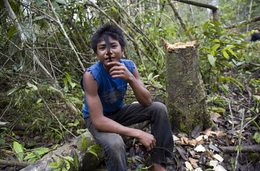 A teenager shows off his modern hairstyle next to a tree he just chopped down to clear more space for an expanding palm oil plantation.