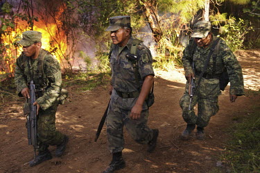 An army regiment based in Morelia burn down a drugs laboratory discovered in a remote mountainous area. In recent years, the Sinaloa cartel and 'La Familia de Michoacan' cartel have turned to the prod...
