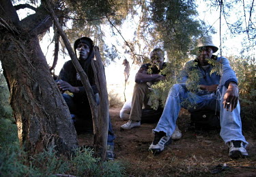 George, Tupah and Issa, three migrants hiding in the bushes on a garbage dump outside Nador, waiting to be picked up by the Moroccan traffickers who will smuggle them to secret beaches from where they...