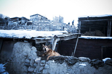 A guard dog in Min Kush. During the 1960s and 70s, Min-Kush was a prosperous city living off the wealth of uranium mining. It is now an impoverished and semi-deserted village of 2,500 people (down fro...