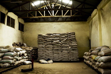Sacks of dry artemisia annua in Tanzania. Artemisia is used to make ACT (Artemisinin combination therapy), currently the most efficient drug combating malaria.