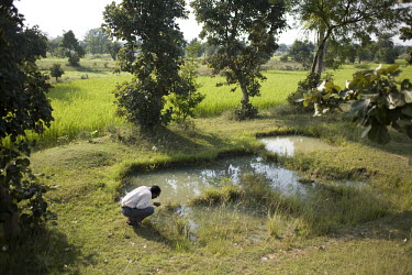 A doctor who specialises in malaria checks the presence of malaria mosquitoes in a swamp in Orissa state.