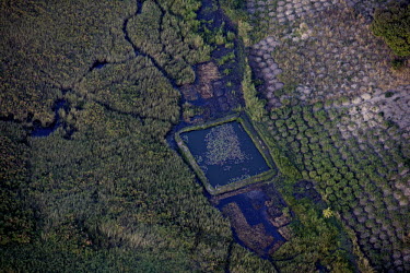 Round mounds for cassava cultivation and a fish farming pond near Lake Bangweulu seen from the air.