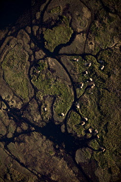 Small habitations beside Lake Bangweulu seen from the air.