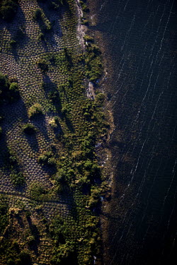 Round mounds for cassava cultivation beside Lake Bangweulu seen from the air.