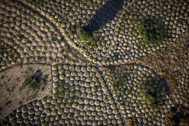 Round mounds for cassava cultivation near Lake Bangweulu seen from the air.