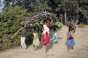 A Santal tribal family emerges from the forest after collecting firewood and thatching leaves.