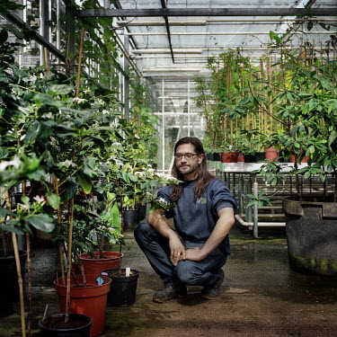 Spanish botanist Carlos Magdalena kneels in a glasshouse at the Royal Botanical Gardens, Kew in London. He has helped to grow a critically endangered species of Ramosmania in the garden at Kew.