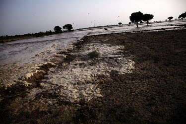 Flood water inundates the surrounding area after Manchar Lake burst its banks. Officials made a breach in the lake's embankments to direct water away from the nearby cities of Dadu and Sehwan. Severe...