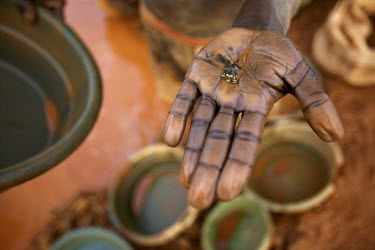 A man holds a few grains of gold in the palm of his hand panned from a small scale mine. Thousands of Zimbabweans have crossed into neighbouring Mozambique in search of work, and many have turned to g...